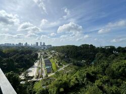 Normanton Park (D5), Apartment #571637481